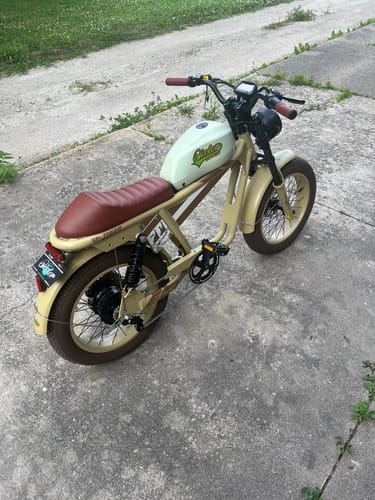 Customer photo review of TIGER RE