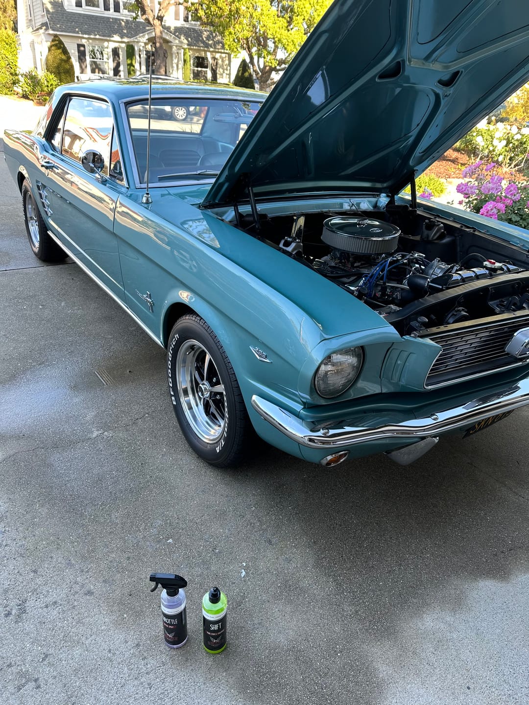 Customer photo review of Cruise - Gallon