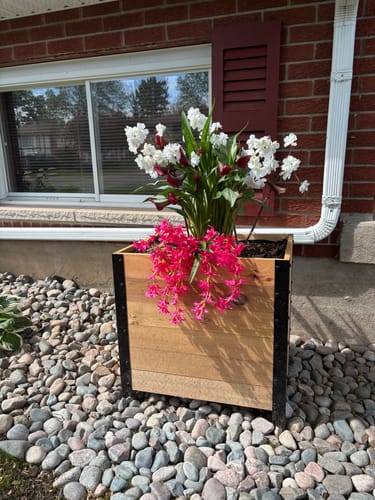 Customer photo review of 18" x 24" Planter Box - 24" TALL