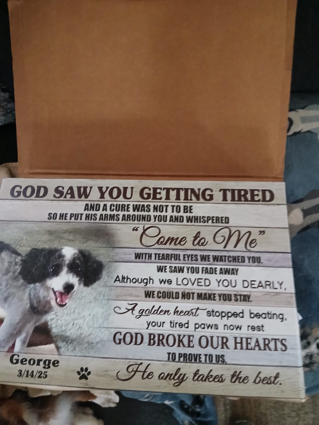 Customer photo review of Personalized Photo Canvas Prints, Dog Loss Gifts, Pet Memorial Gifts, Dog Sympathy, God Saw You Getting Tired Dem Canvas