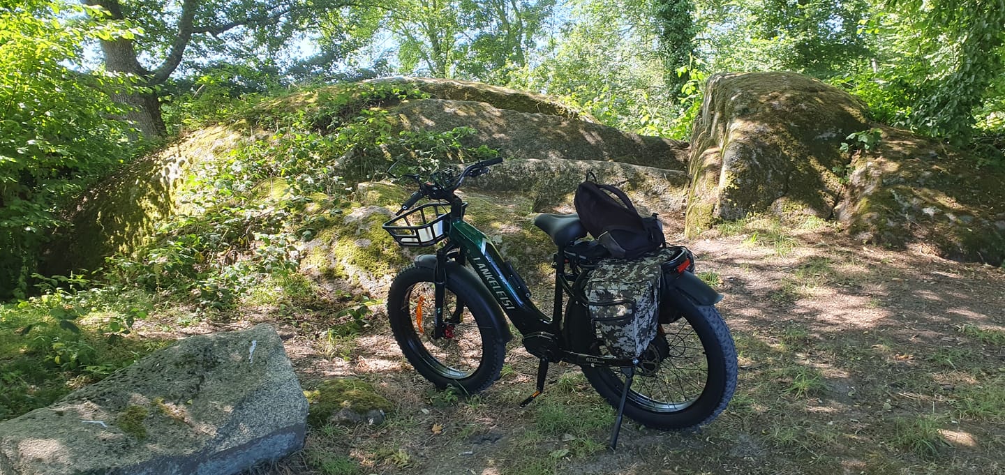 Customer photo review of Front Basket For Lankeleisi MG600 Plus/Wombat-1/MG600 Lite