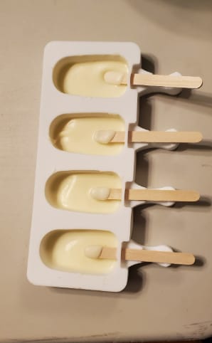Customer photo review of Food Grade Silicone Popsicle Molds