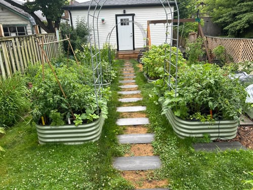 Customer photo review of Arch Garden Trellis