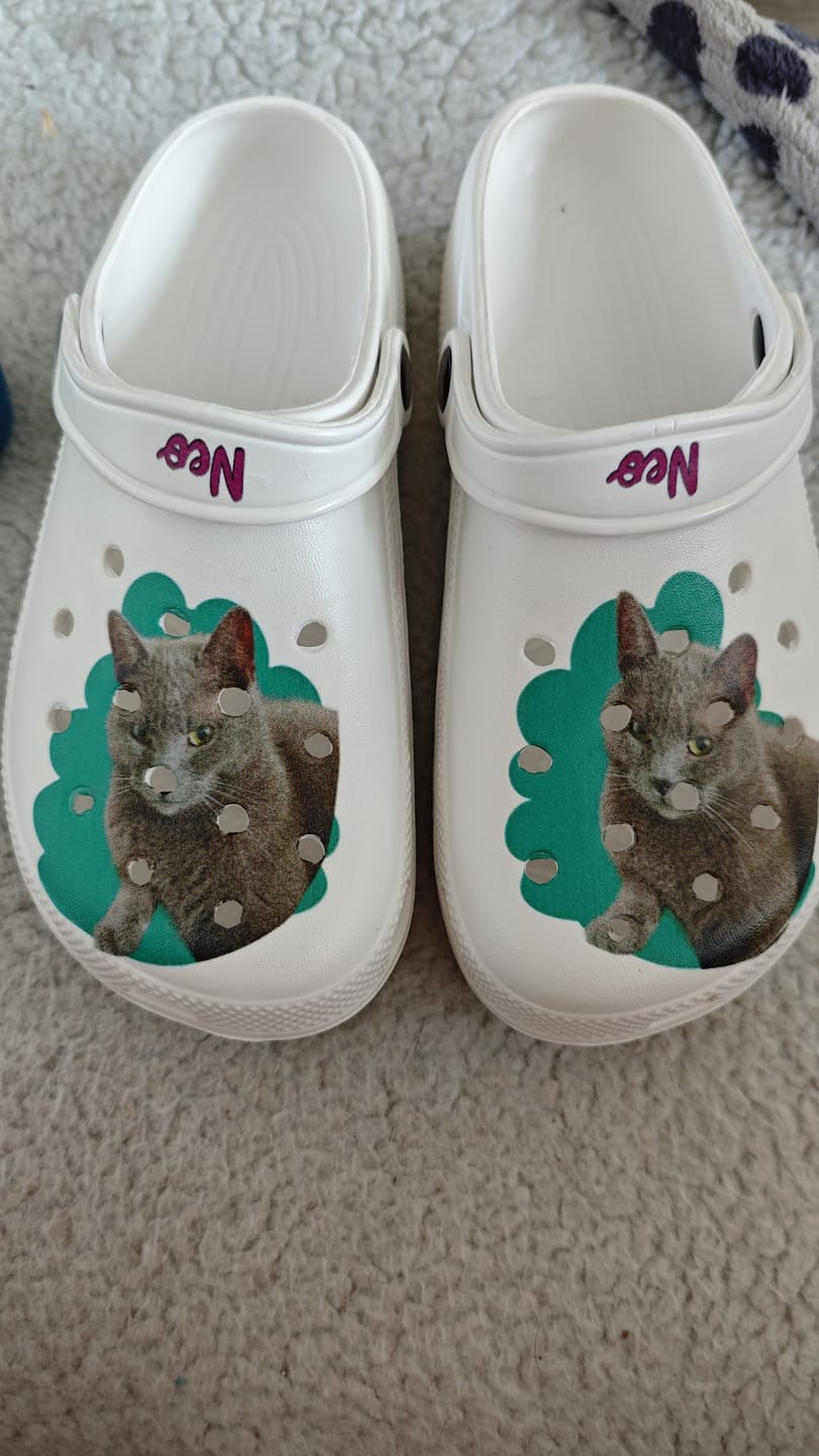 Customer photo review of Haustierportrait - Individuelle Clogs