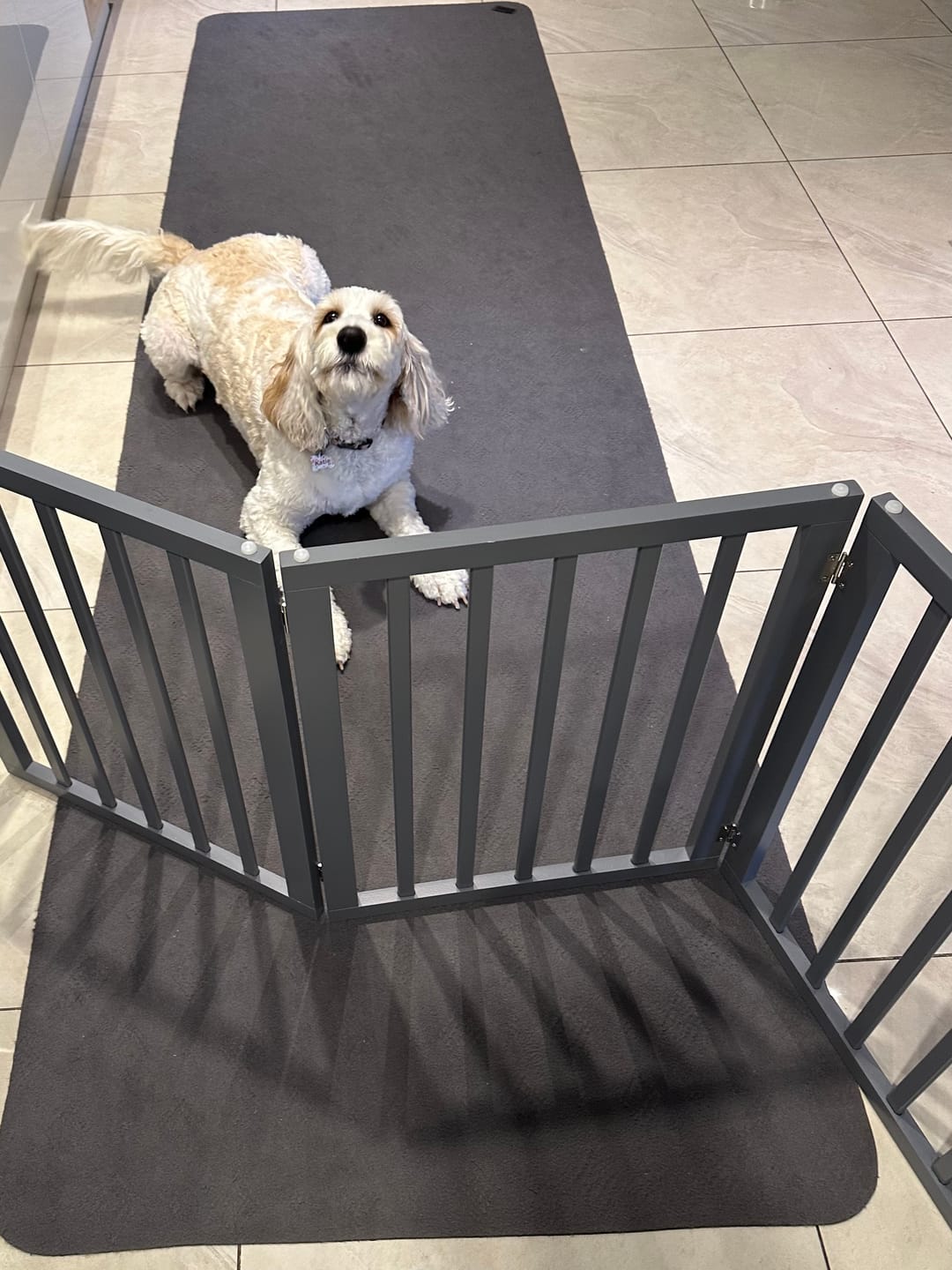 Customer photo review of Pawz Wooden Pet Gate
