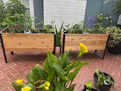 Customer photo review of 18" x 48" Raised Garden Bed - 30" TALL