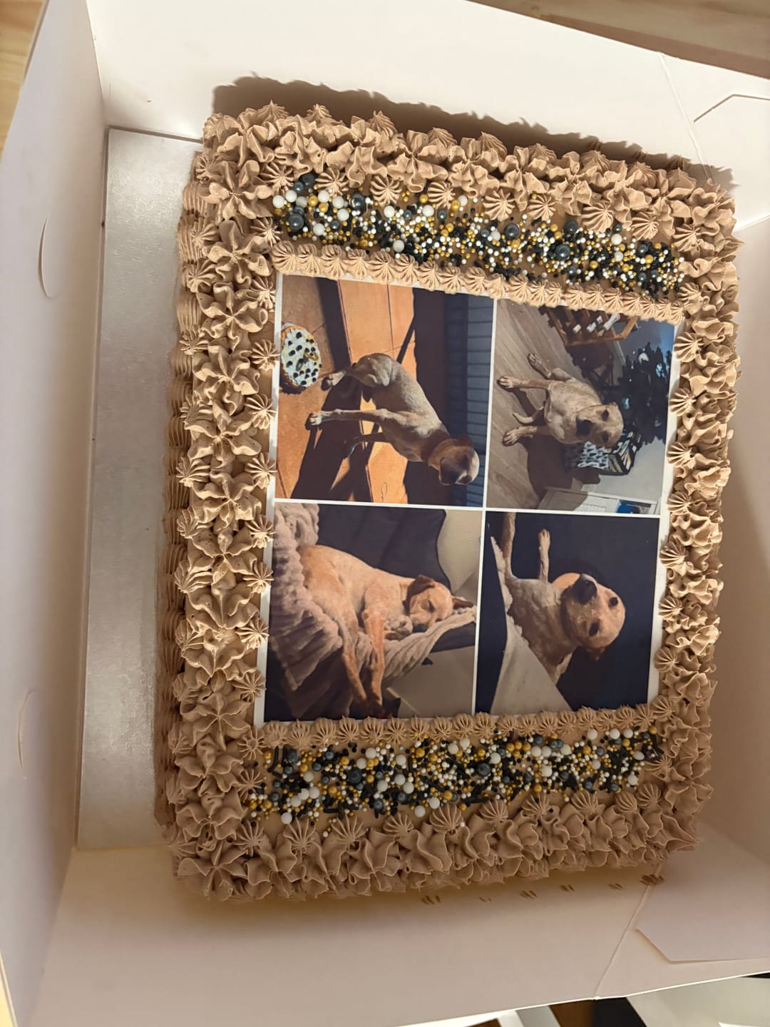 Customer photo review of 19 cm x 19 cm Square Pre-cut Custom Edible Icing Image