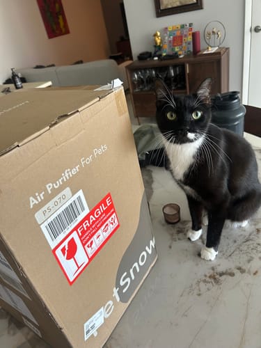 Customer photo review of Pet Air Purifier