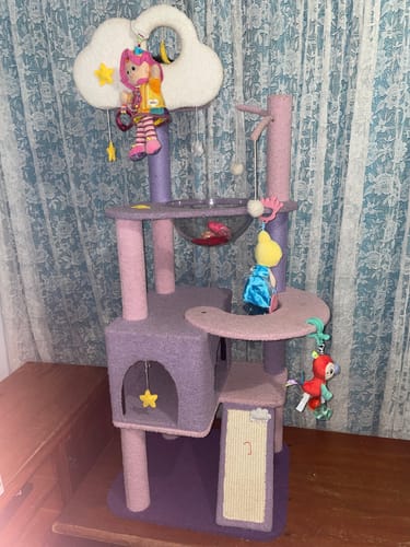 Customer photo review of Purple Sky Adventure Cat Tree