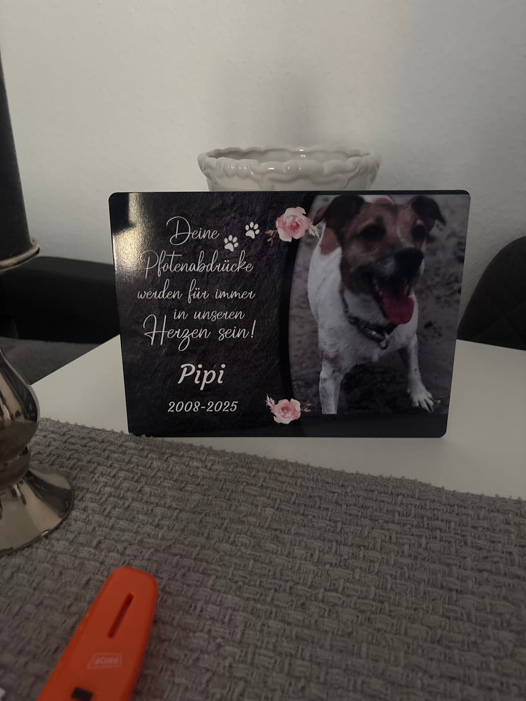 Customer photo review of Hunde Gedenktafel mit Foto & Spruch (UV- & Wetterfest)