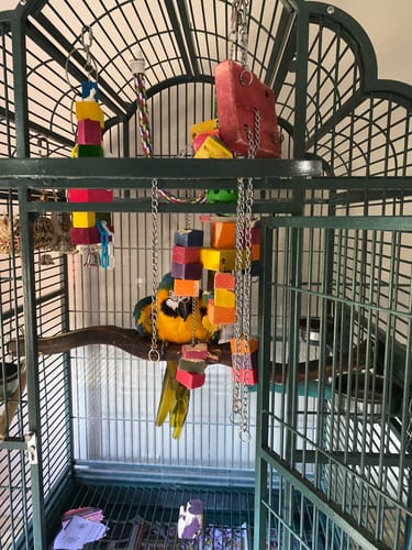 Customer photo review of 3138 Duo Cubic