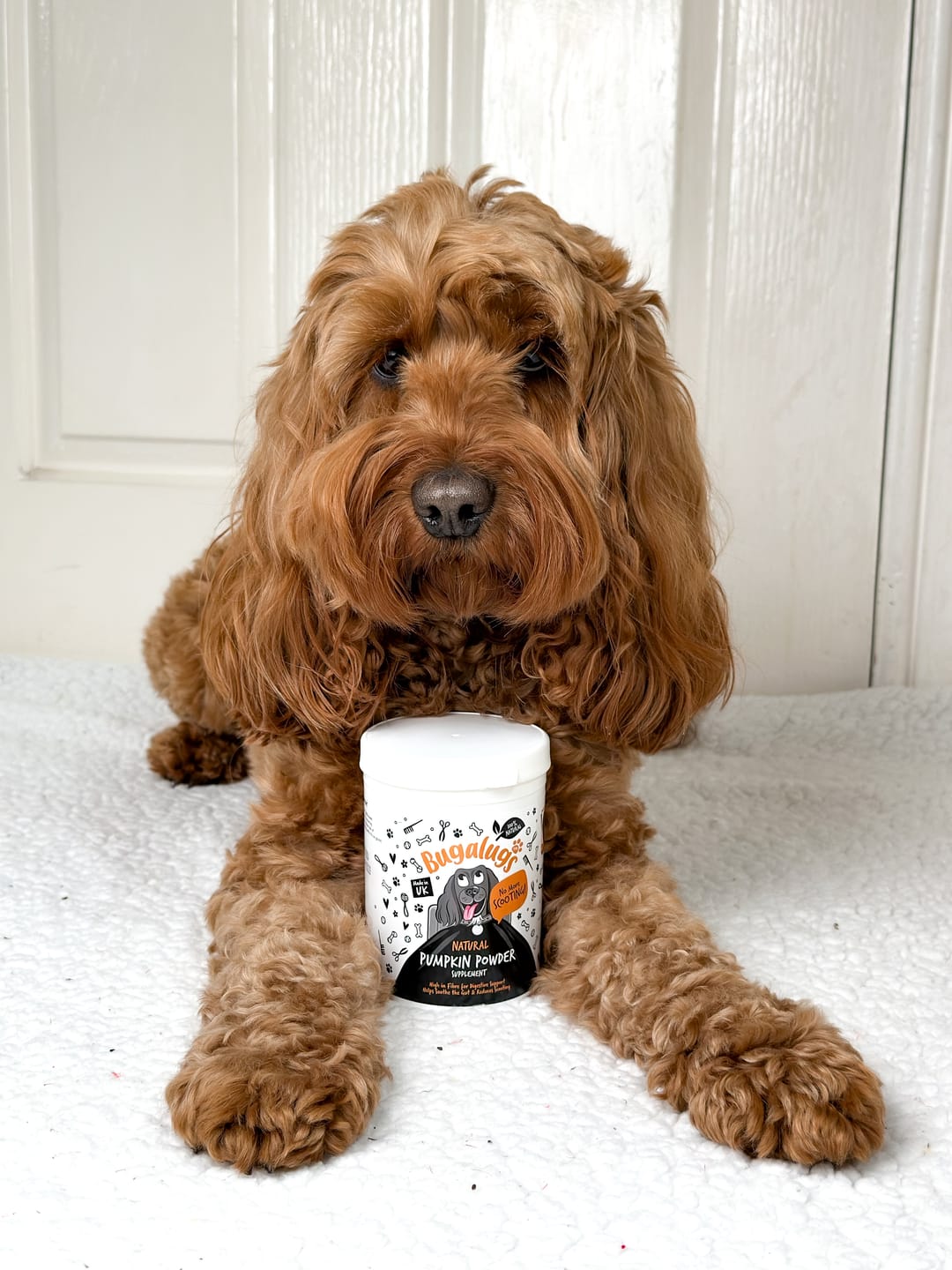 Customer photo review of Pumpkin Powder Supplement for Dogs (200g)