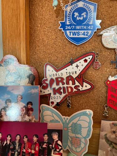 Customer photo review of (PREORDER) Straykids 2025 World Tour Enamel Pin