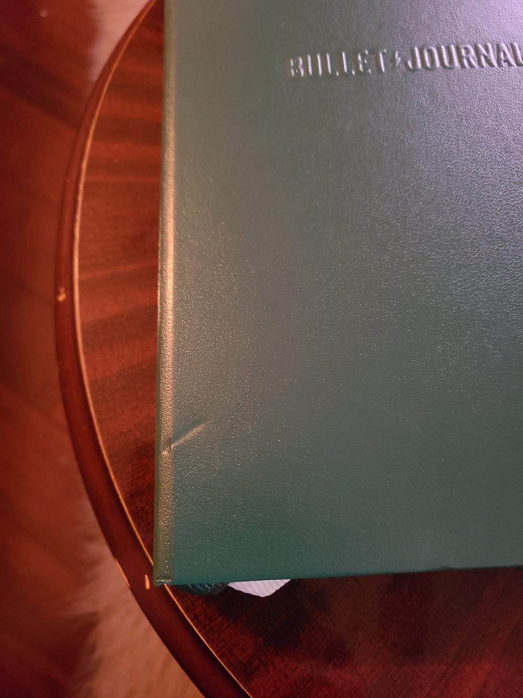 Customer photo review of The Notebook