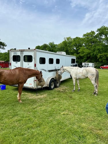 Customer photo review of Hay Chix® Half Bale Net