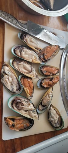 Customer photo review of Special Seafood Bundle (Medium)