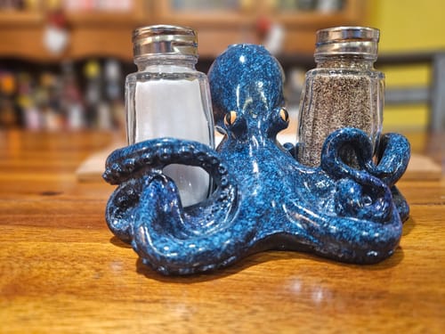 Customer photo review of Octopus Salt and Pepper Shaker
