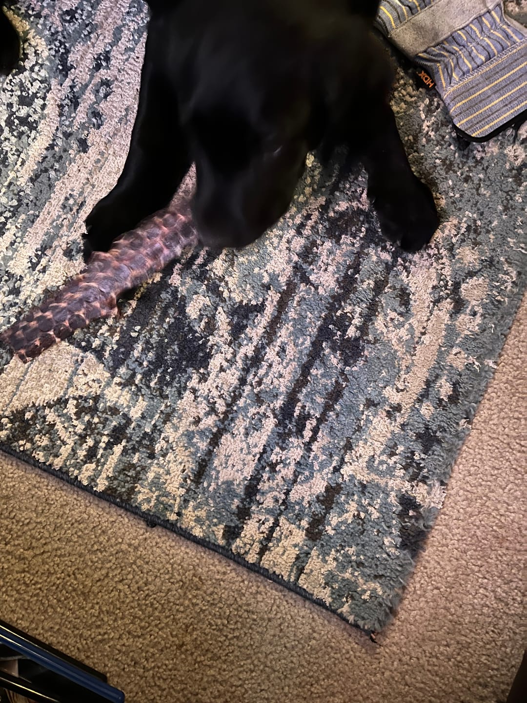 Customer photo review of 12 Inch Beef Jerky Strip
