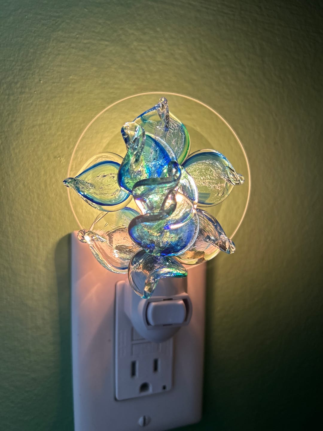 Customer photo review of Memorial Nightlight Flower with Cremation Ash