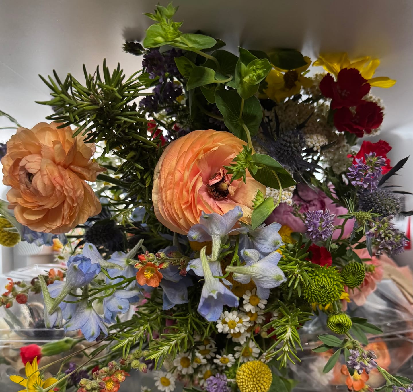 Customer photo review of Coral Peach Ranunculus