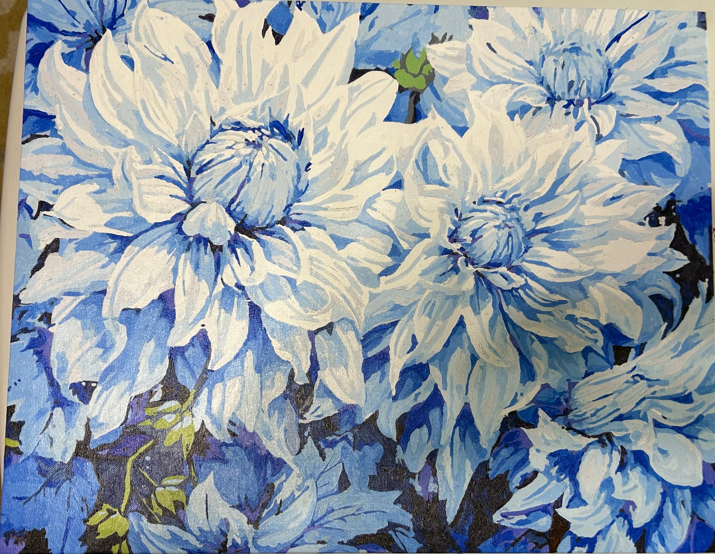Customer photo review of Azure Chrysanthemums