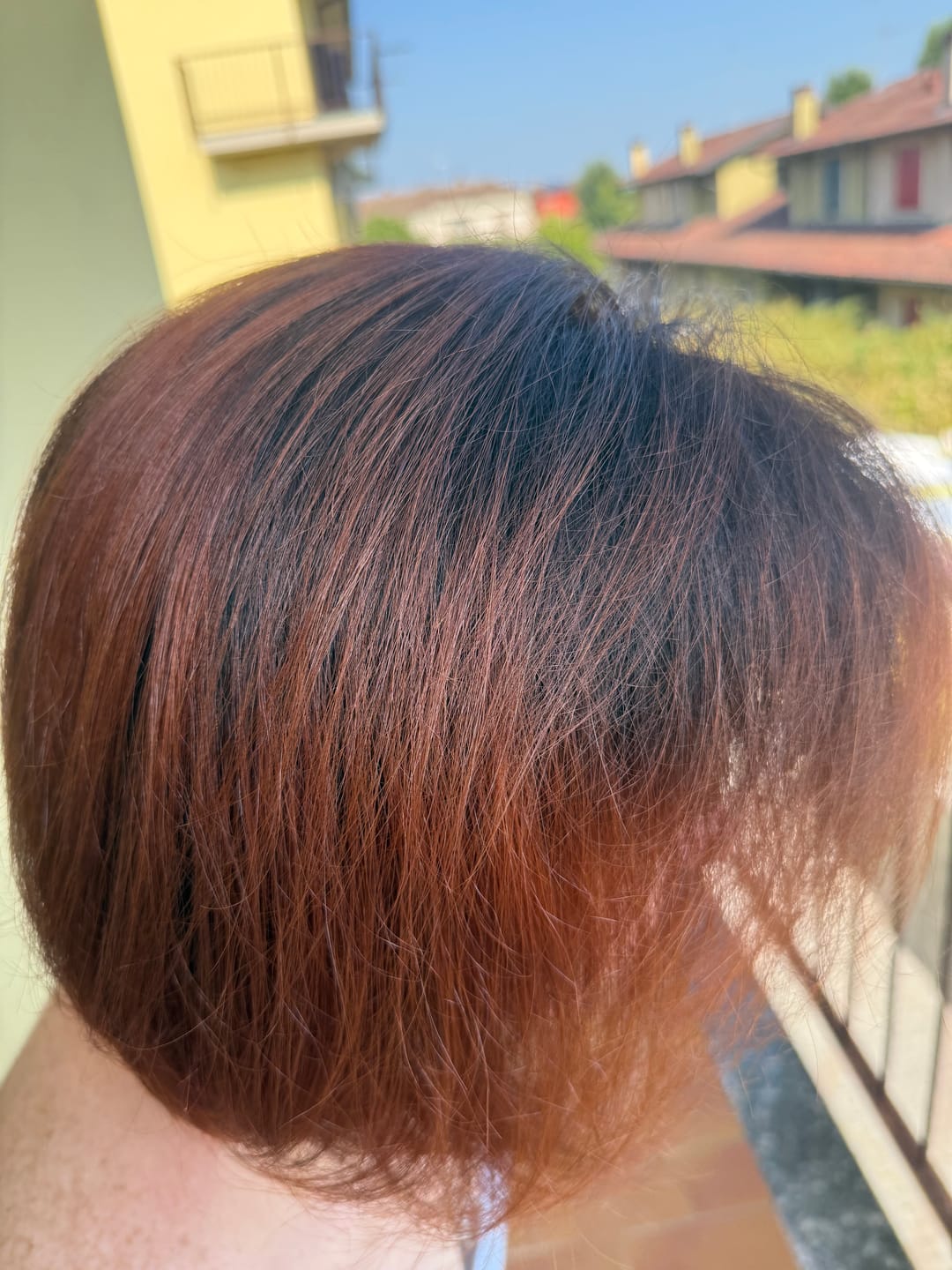 Customer photo review of CASTANO CHIARO 5N + INDIA