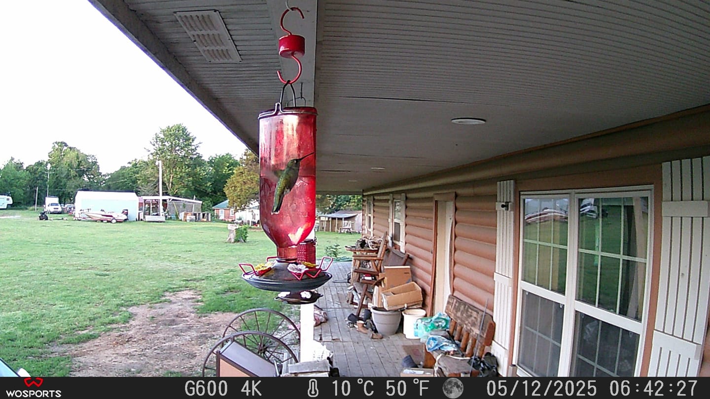Customer photo review of WOSPORTS G600 Trail Camera