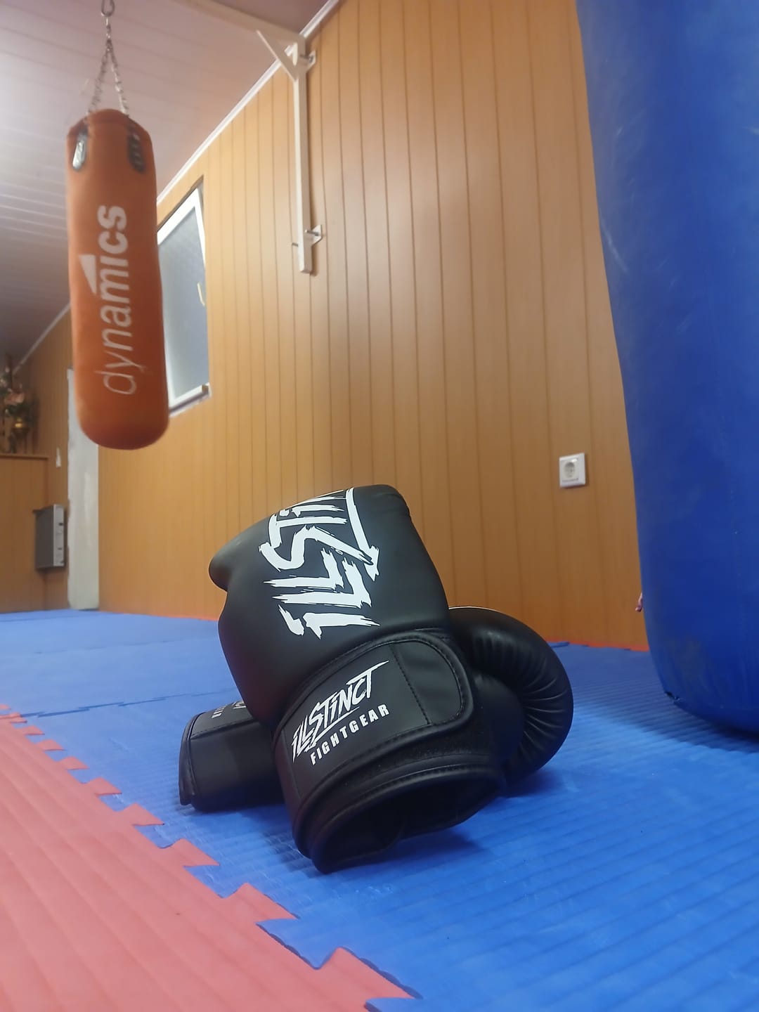 Customer photo review of Skilltech Boxhandschuhe