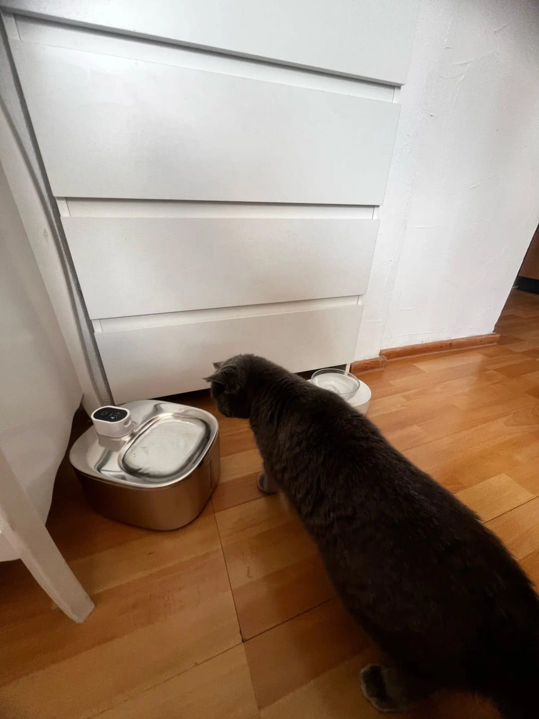 Customer photo review of 🐾 PawMaxi SmartFlow™ – 4L Wireless Water Fountain