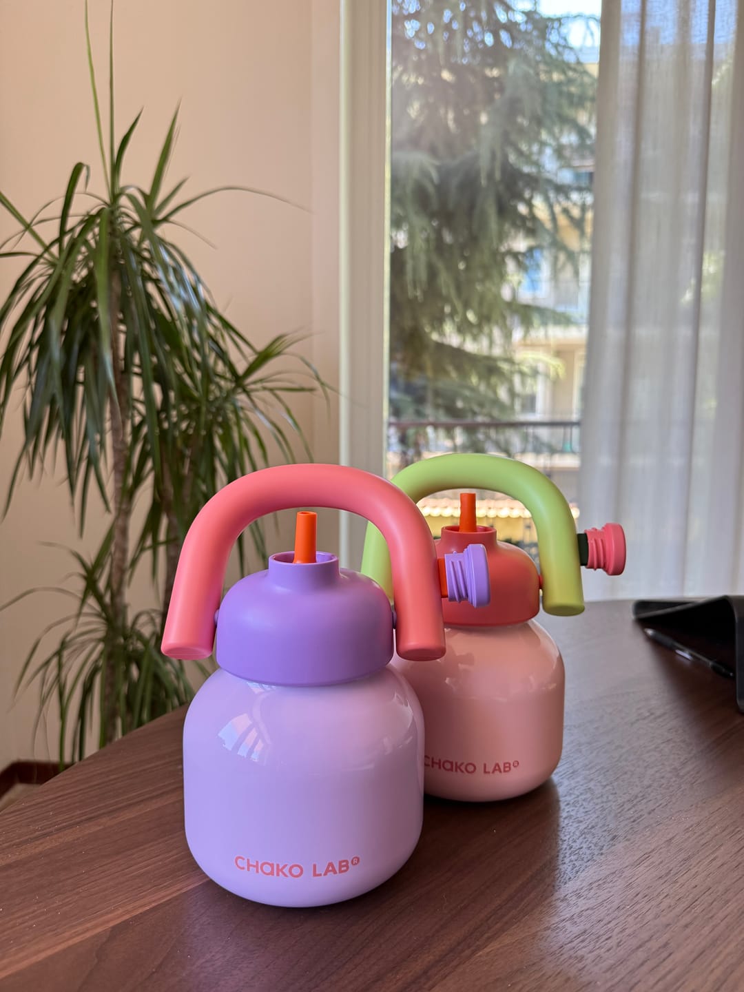 Customer photo review of Chako Lab LinLin Insulated Water Bottle Pale Pink/Green