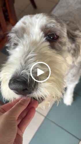 Video de Ana L.