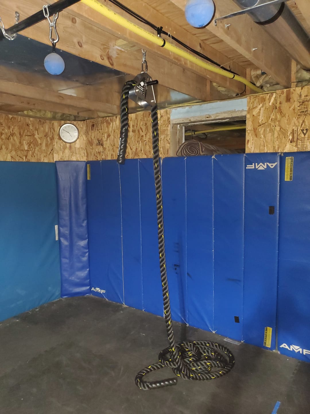 Customer photo review of Battle Boa - Rope Resistance Trainer