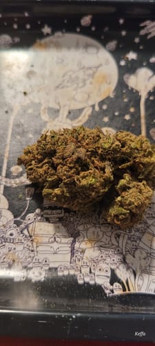 Customer photo review of Pineapple Express THCA Flower