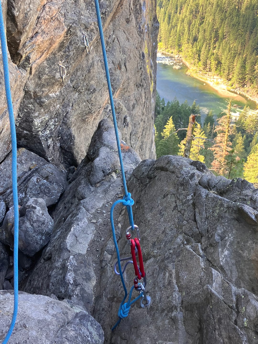 Customer photo review of "Comfort Catch" LRS Absorber