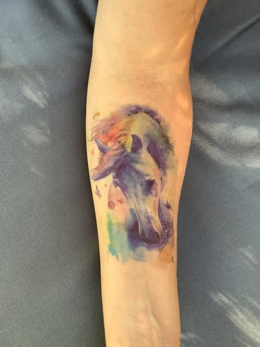 Customer photo review of Cheval Pastel