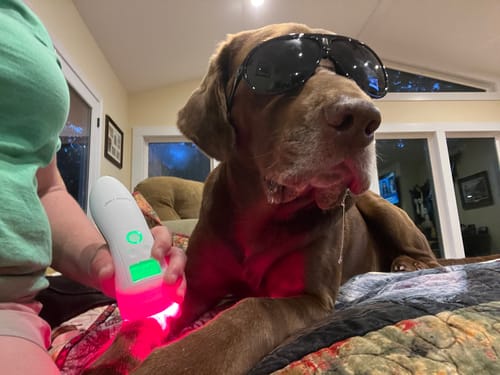 Customer photo review of Collagen Puptides