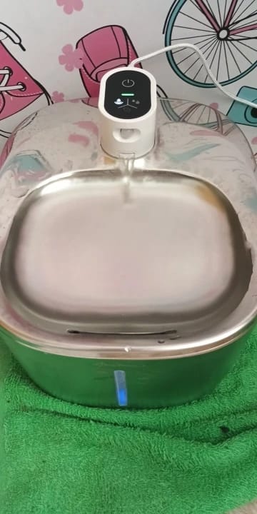 Customer photo review of 🐾 PawMaxi SmartFlow™ – 4L Wireless Water Fountain