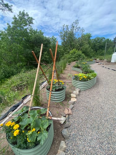 Customer photo review of 17” Tall Round (Twin Pack)