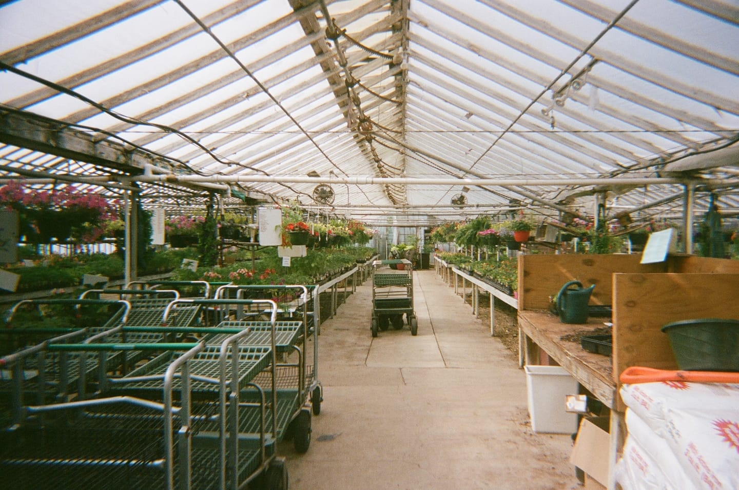 Customer photo review of 35mm Film Processing