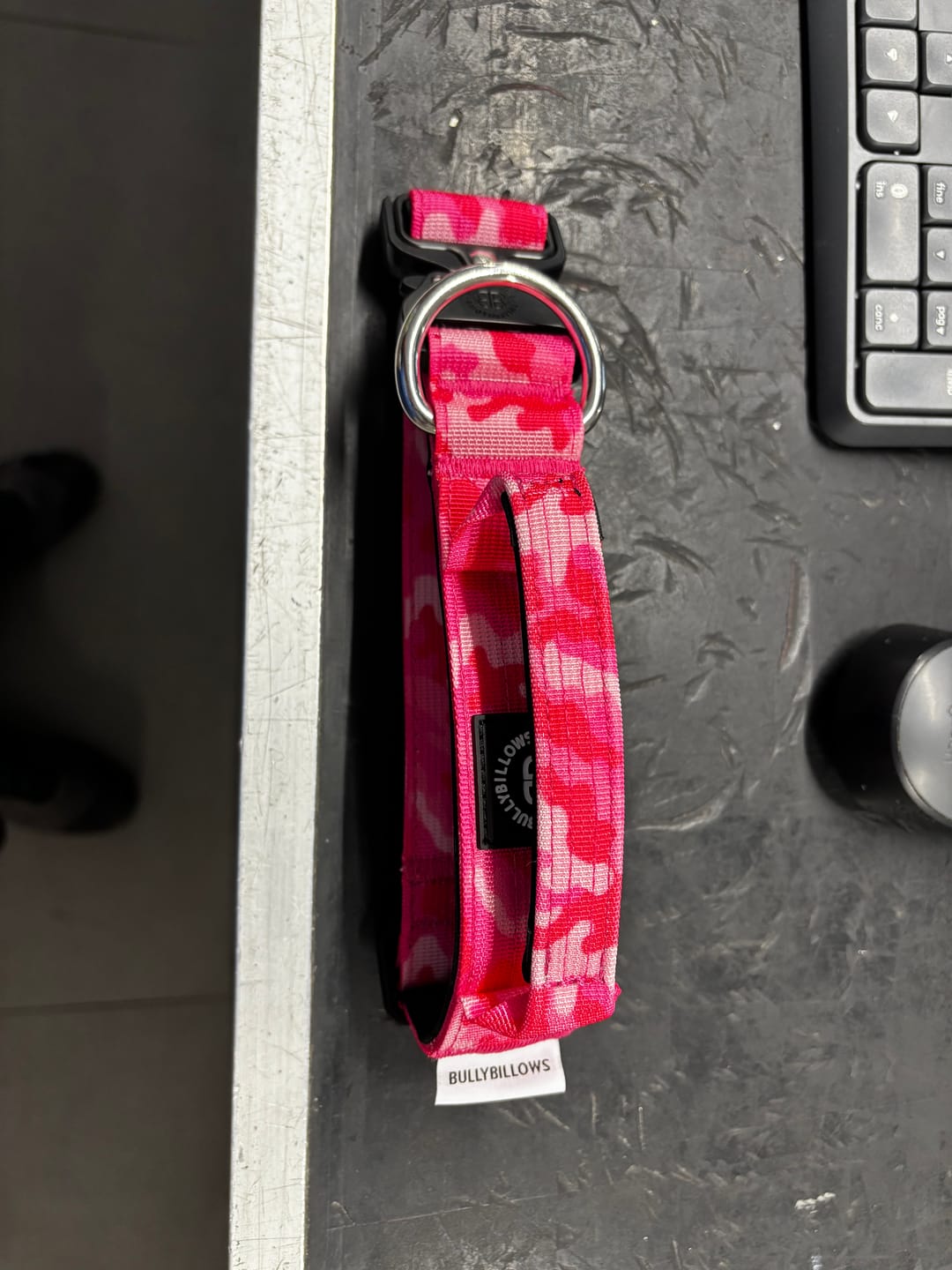 Customer photo review of 4cm Combat® Collar | Handle & Rated Clip - Bubblegum