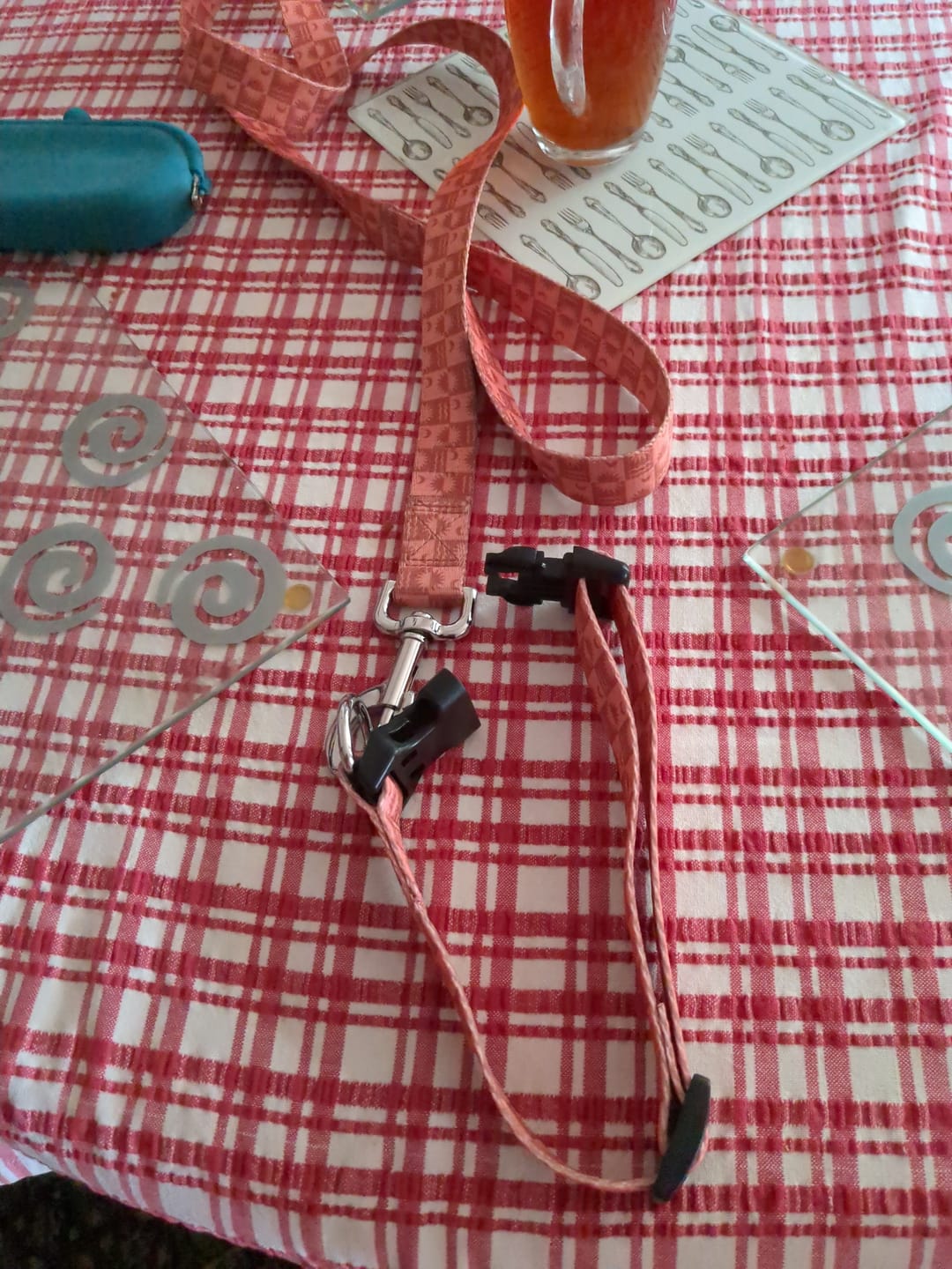 Customer photo review of SALTROCK Equinox - Pets Collar - Orange