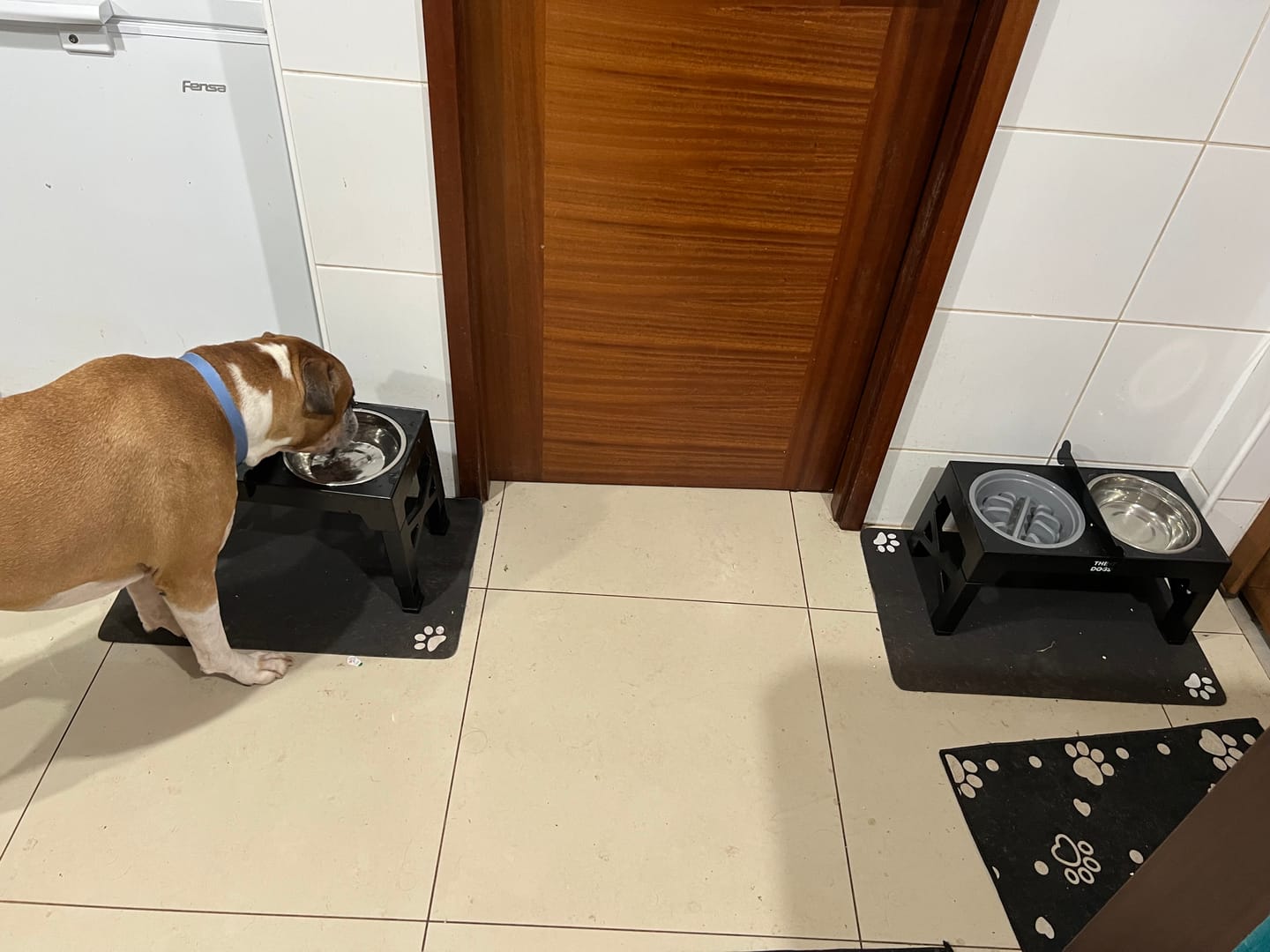 Customer photo review of Mat Absorbente para alimentación