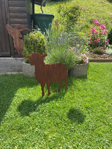 Customer photo review of Gartenstecker Schaf