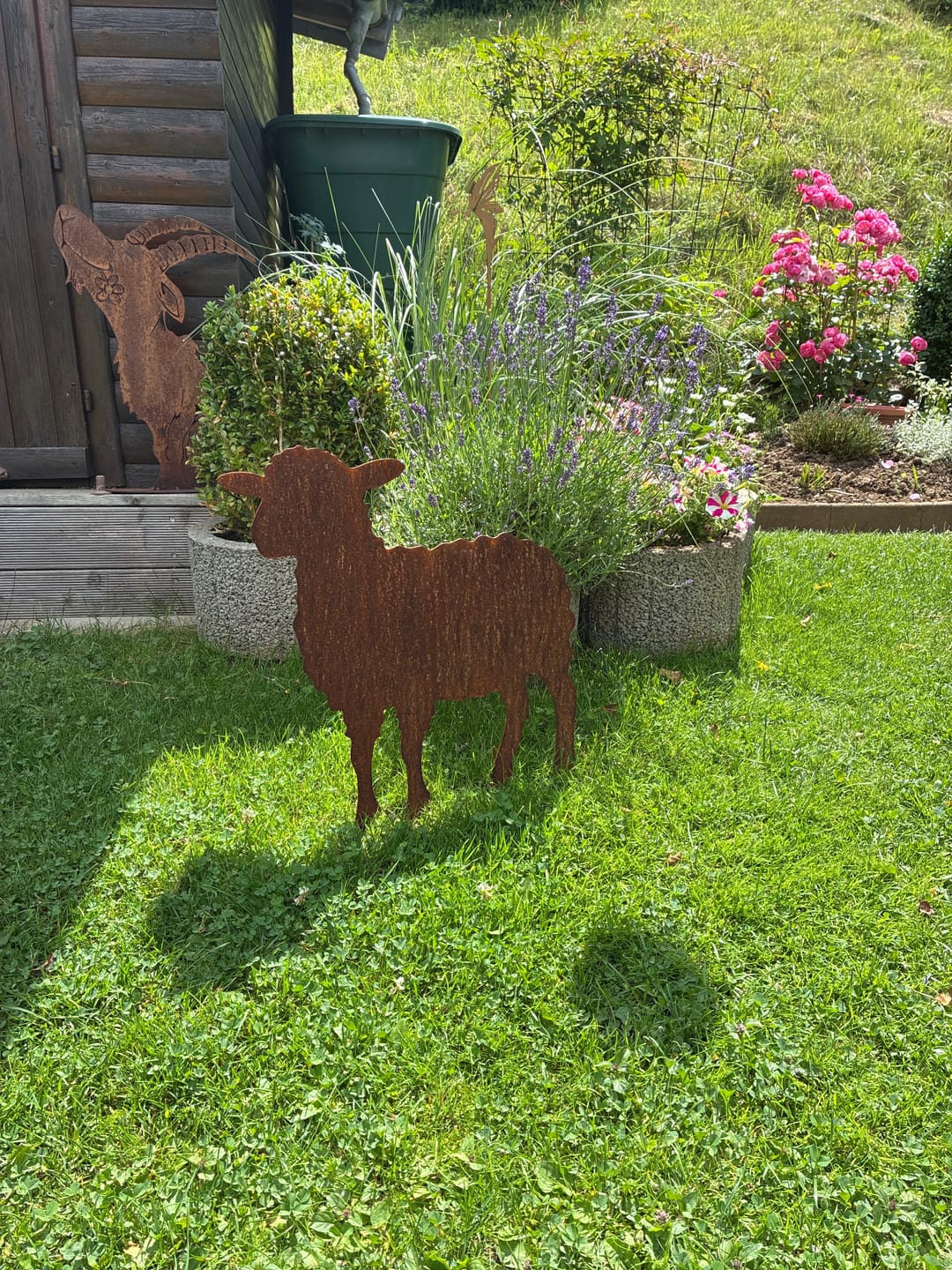 Customer photo review of Gartenstecker Schaf