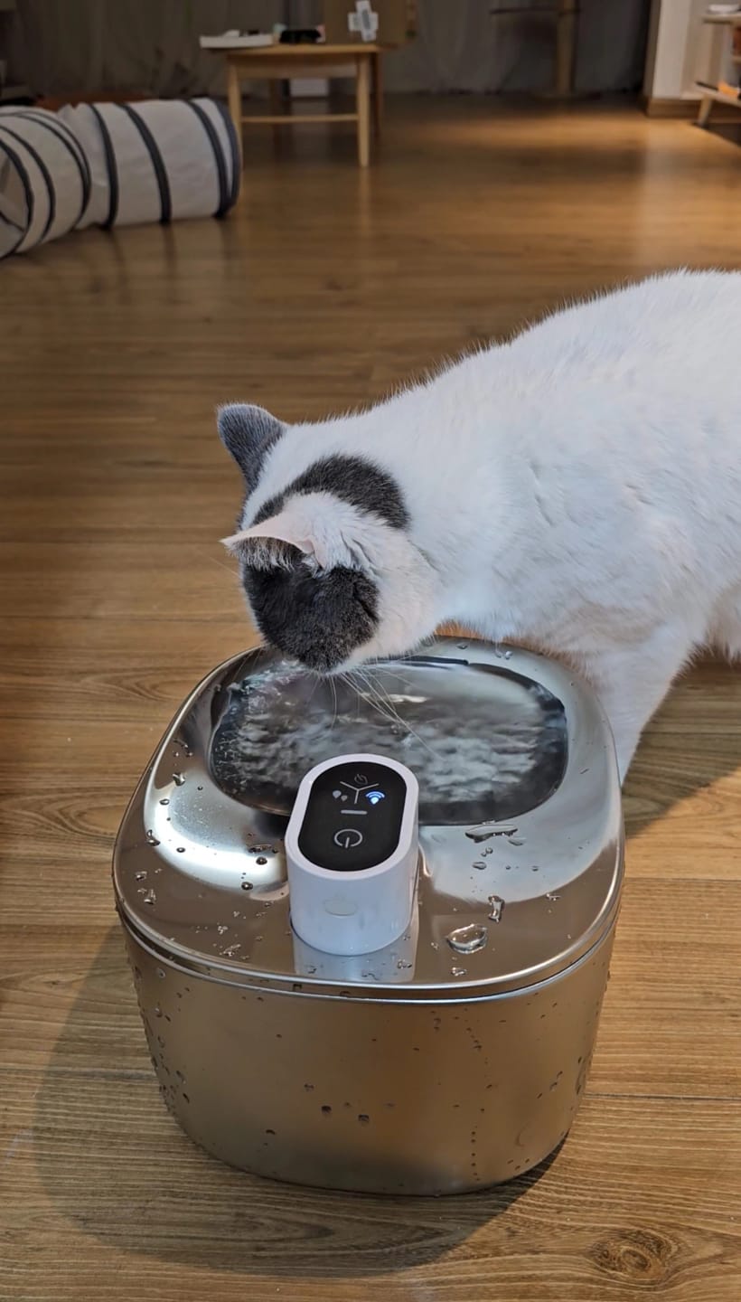 Customer photo review of 🐾 PawMaxi SmartFlow™ – 4L Wireless Water Fountain