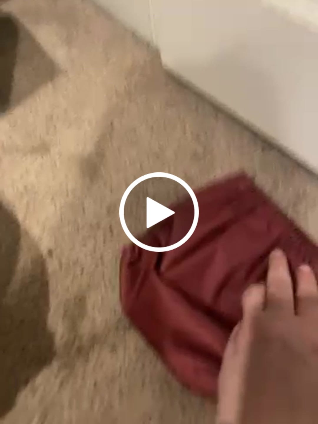 Customer video review of Solid Color: Essentials Pocket Cloth Diaper with Athletic Wicking Jersey, Grows with your Baby