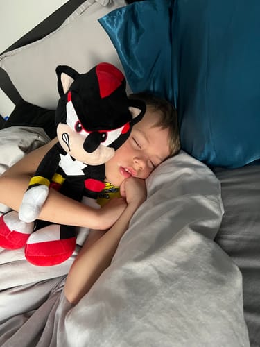 Customer photo review of Shadow The Hedgehog | Driver Cover