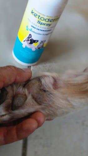 Customer photo review of Ketoderm Spray