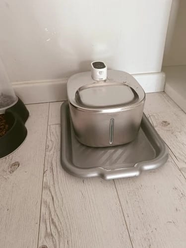 Customer photo review of 🐾 PawMaxi SmartFlow™ – 4L Wireless Water Fountain