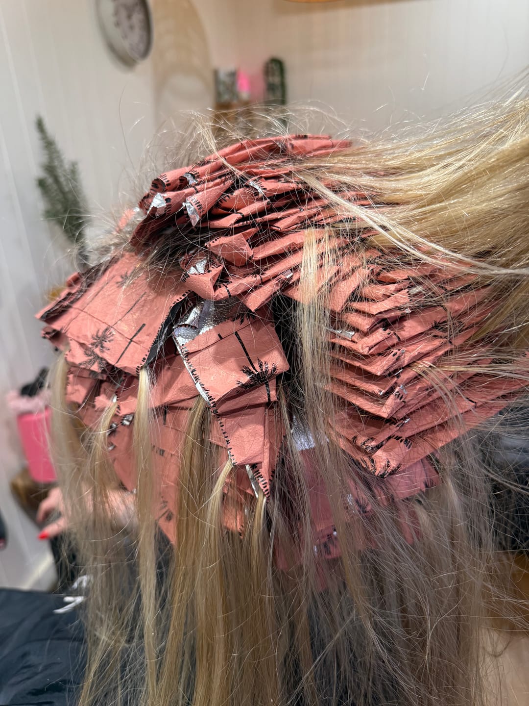 Customer photo review of Tropic - Pop Up